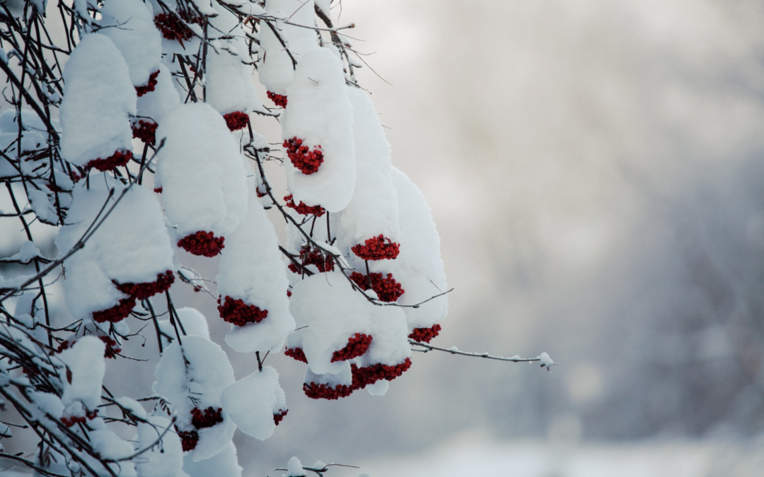 Calling Healthcare Professionals: Professional Renal Education Conference